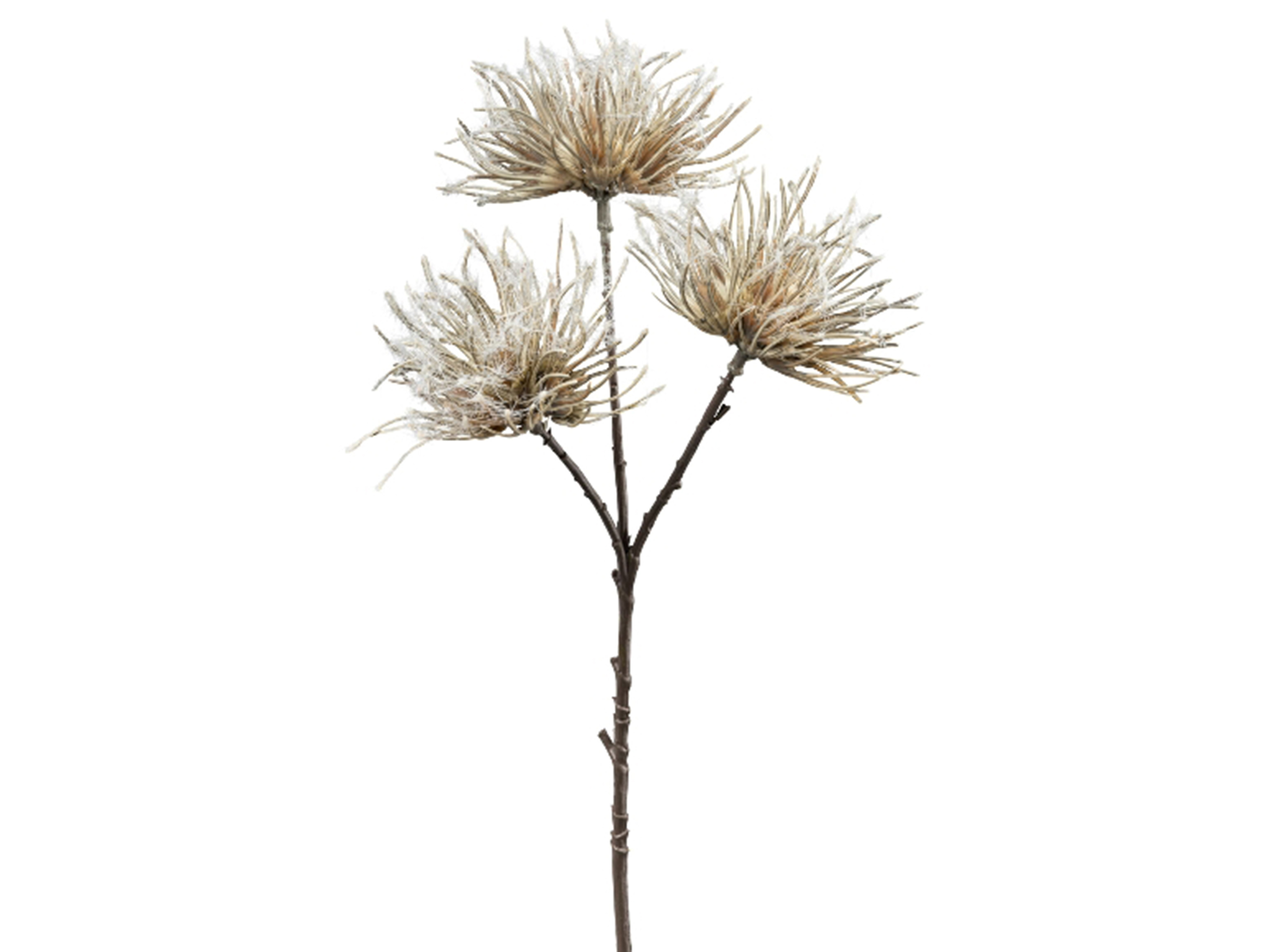 Artificial flower Urchin Grey H: 37 cm Gasper
