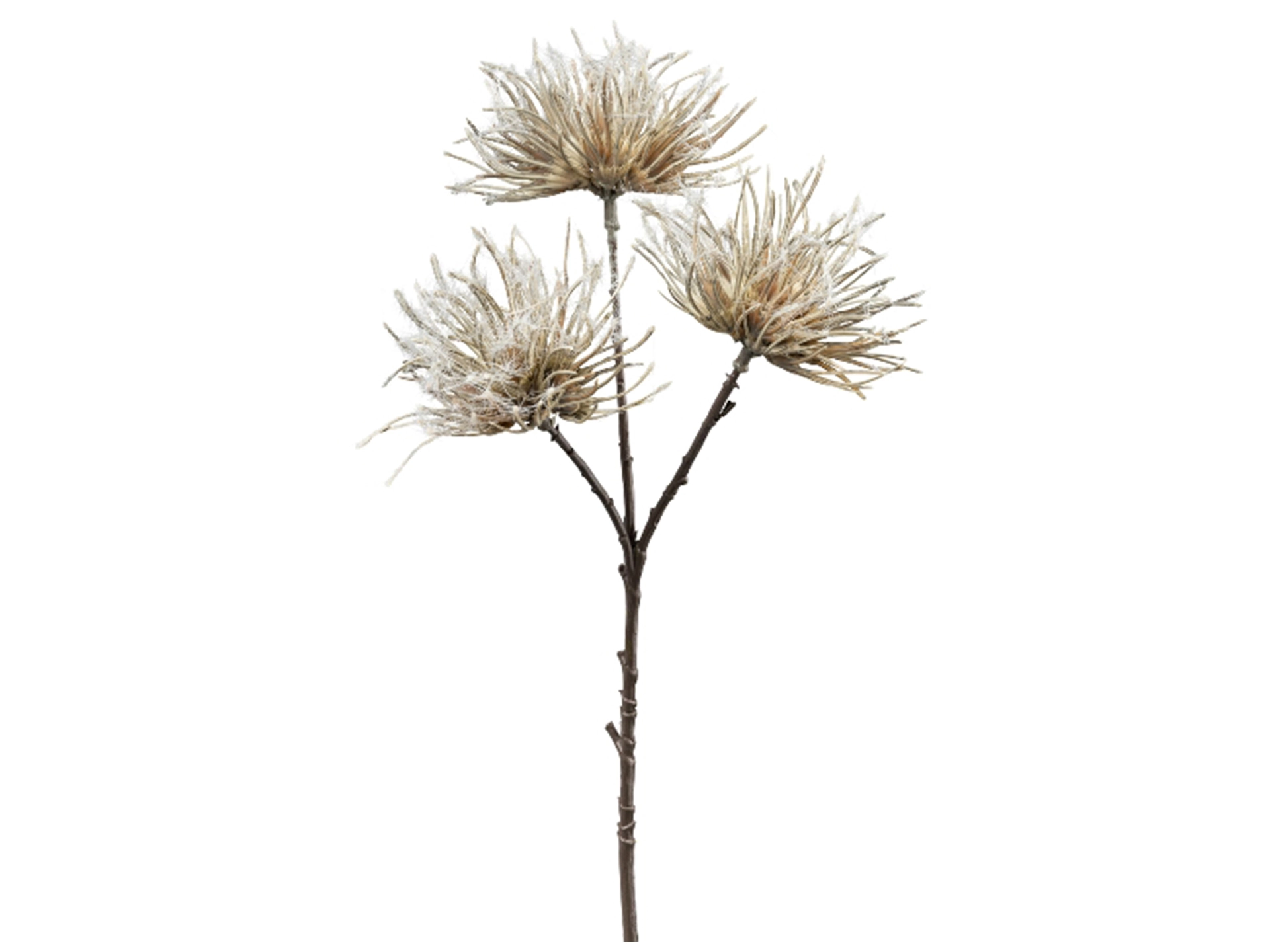 Kunstblume Urchin Grau H: 37 cm Gasper