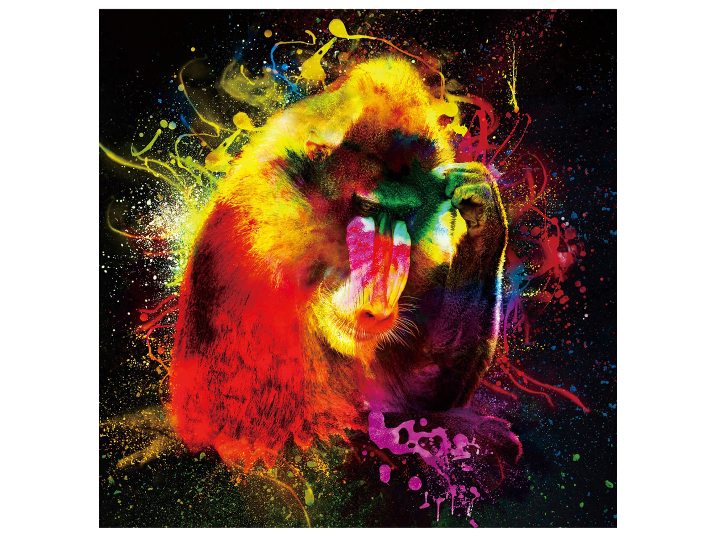 Digitaldruck auf Glas Farbkomposition Orang Utan image LAND