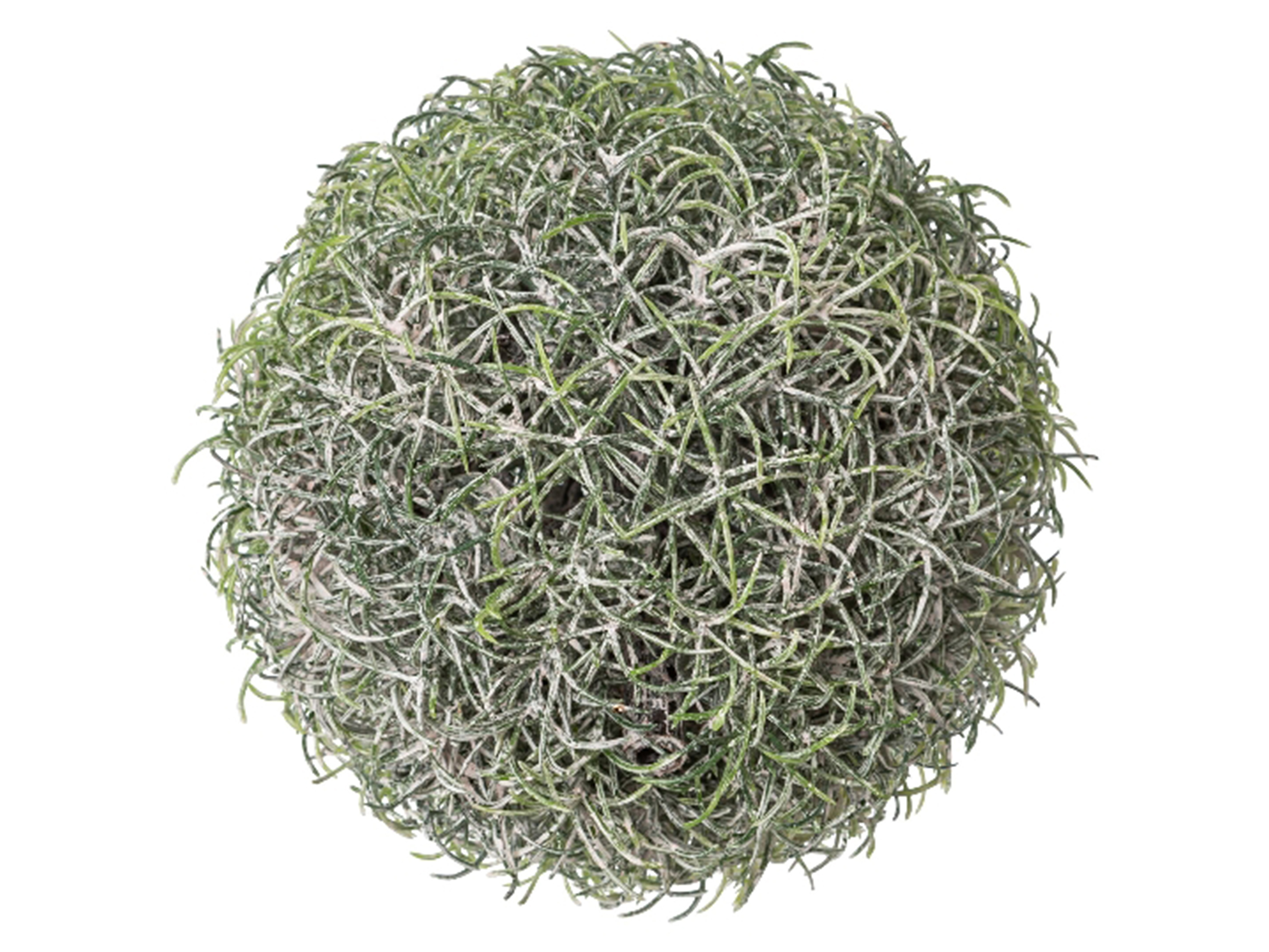 Artificial plant Grass ball 2/Pet Box D: 13 cm Gasper