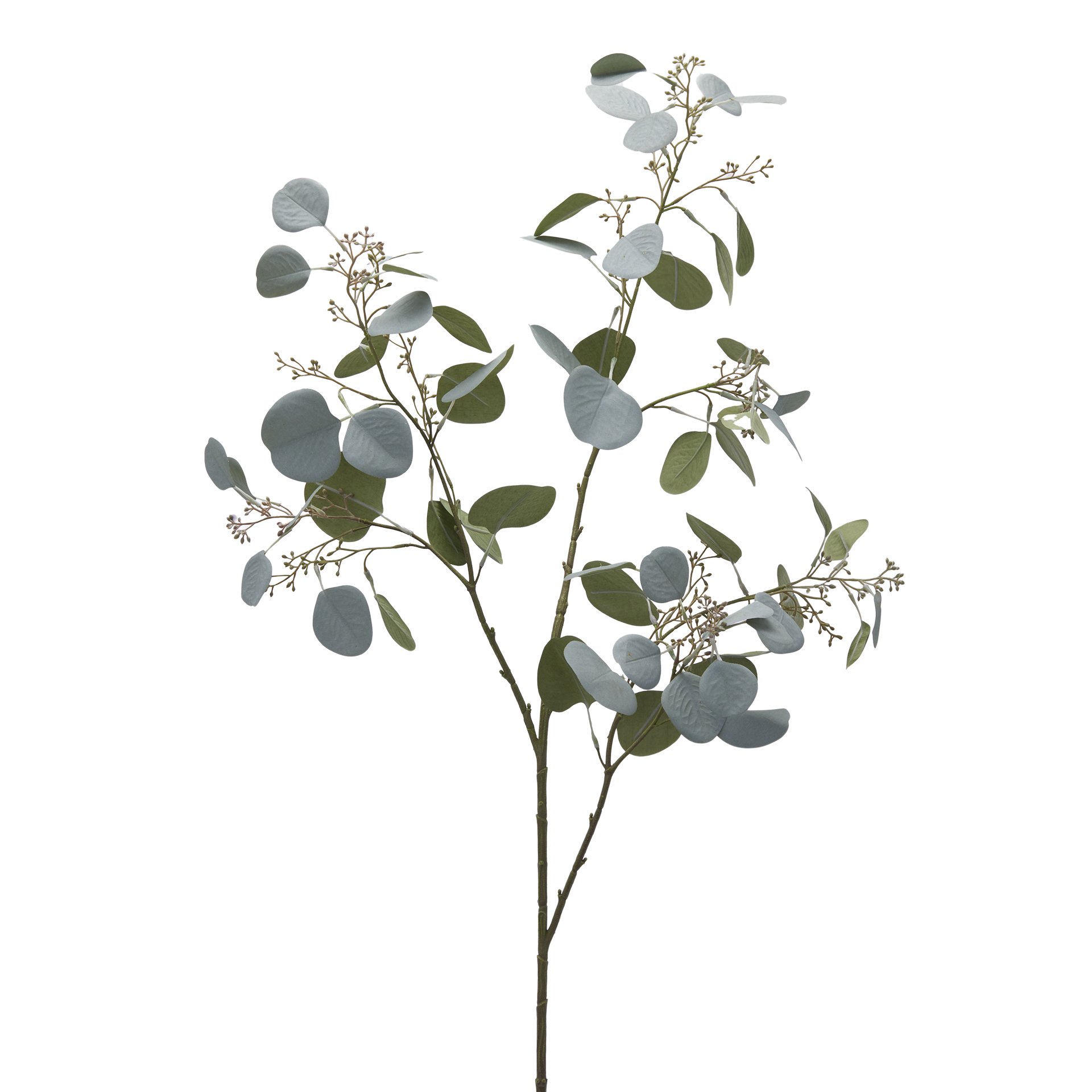 Edg Kunstblume Eucalyptus Salbei H: 110 cm Grün | Schubiger Möbel