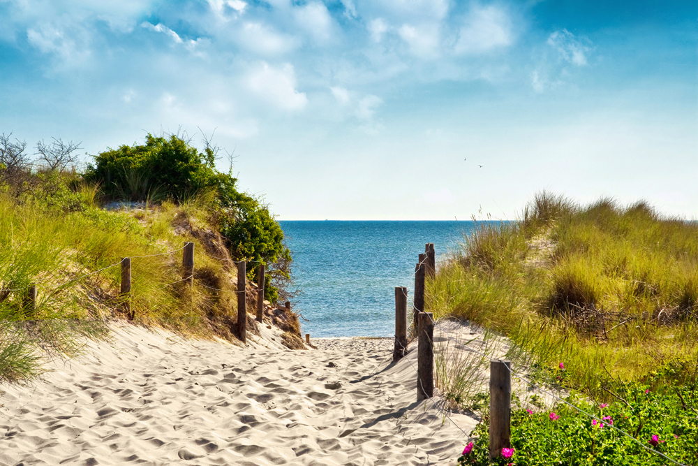 Alubild-Spaziergang Zum Meer-image LAND