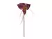 Kunstblume Orchidee Burgund H: 70 cm Edg / Farbe: Burgund