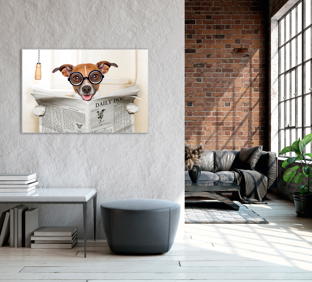 Bild mit Rahmen-Hund mit Zeitung-image LAND