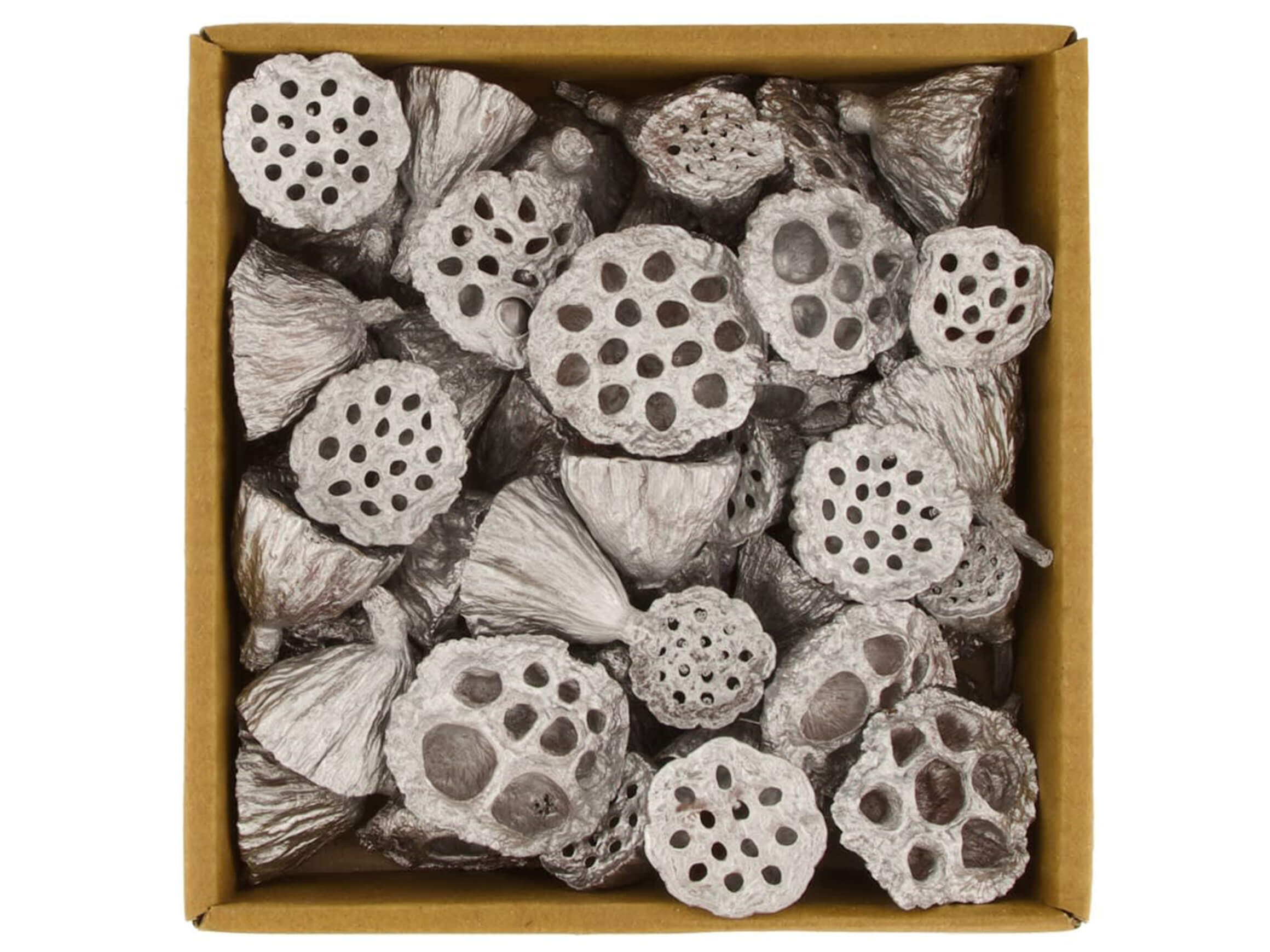 Lotosblumen Natur Silber Decofinder