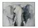 Bild Abstrakter Elefant image LAND
