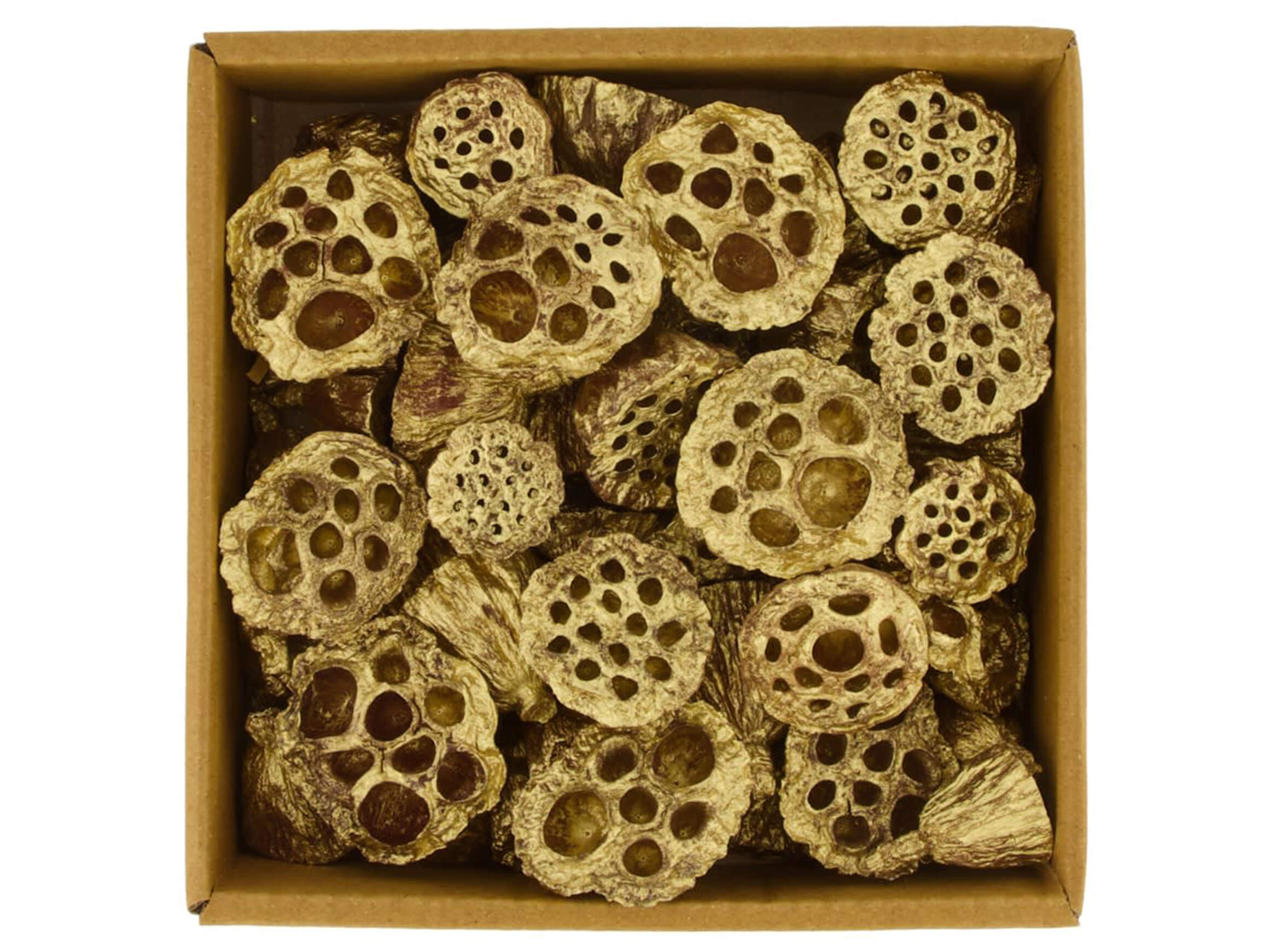Decofinder Lotosblumen Natur Gold Gelb | Schubiger Möbel