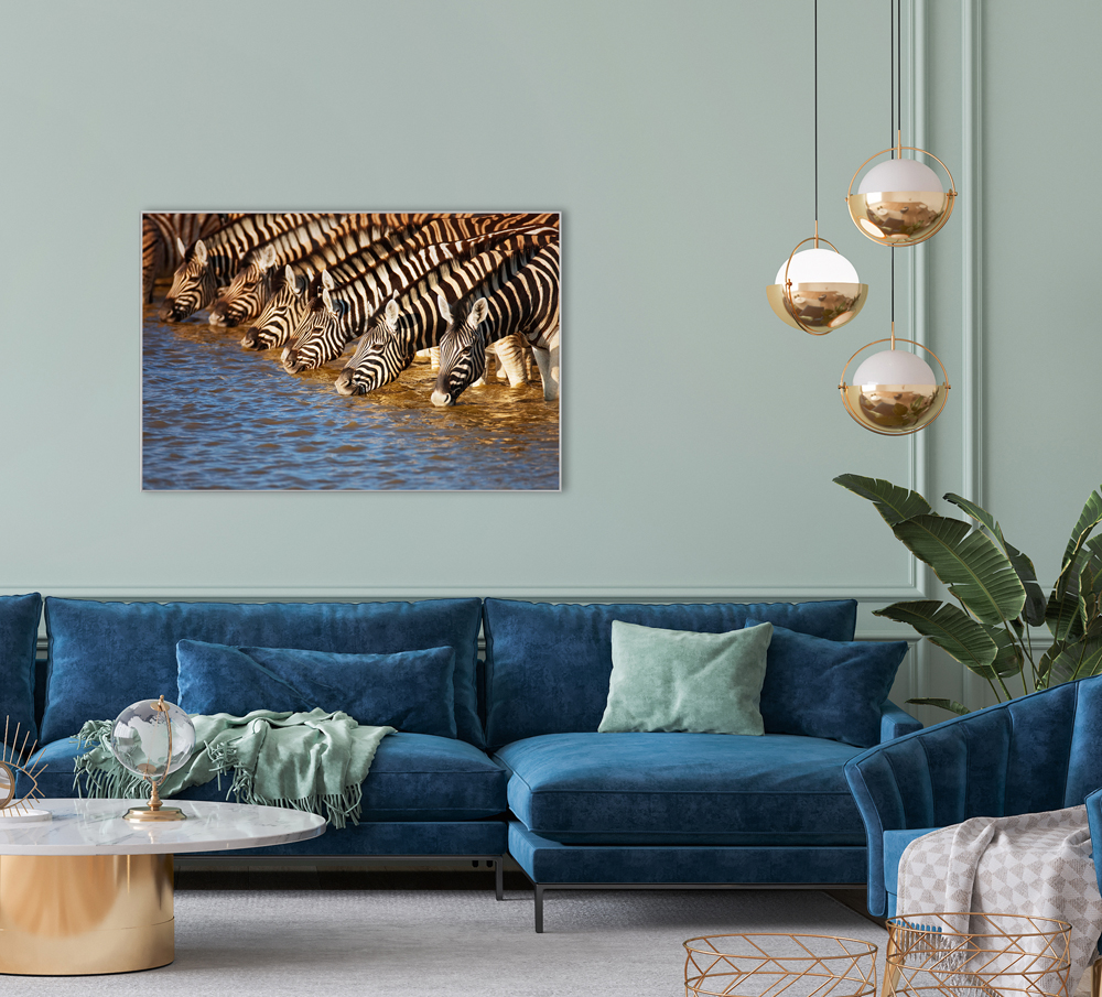 Bild mit Rahmen-Zebras am Fluss-image LAND