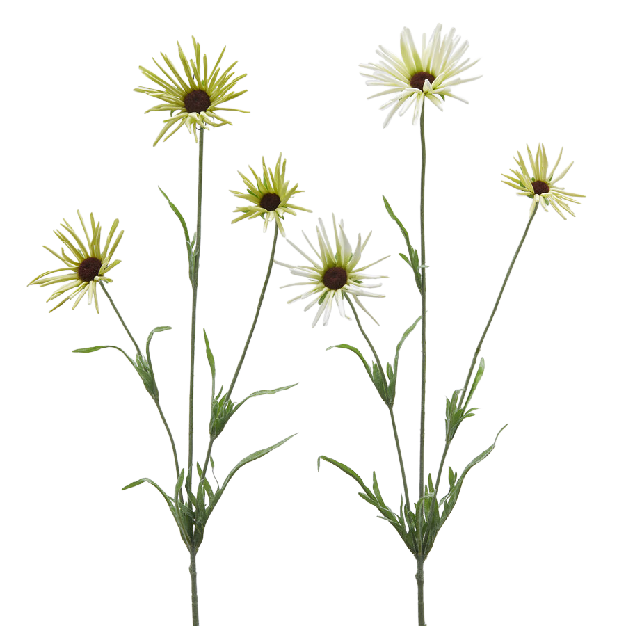 Edg Kunstblume Margeriten Hellgelb H: 60 cm Gelb | Schubiger Möbel