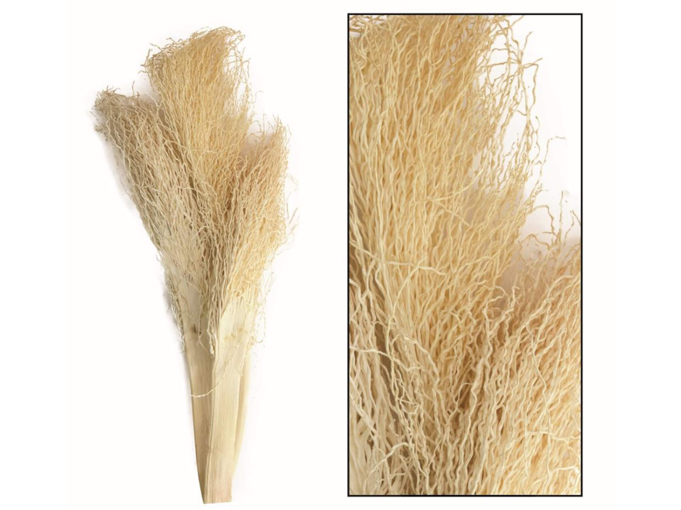 Dijk Kunstblume Palmenwedel, Bleached H: 55 cm  | Schubiger Möbel