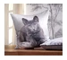 Kissenhülle-Katze grau 45x45 cm-Apelt