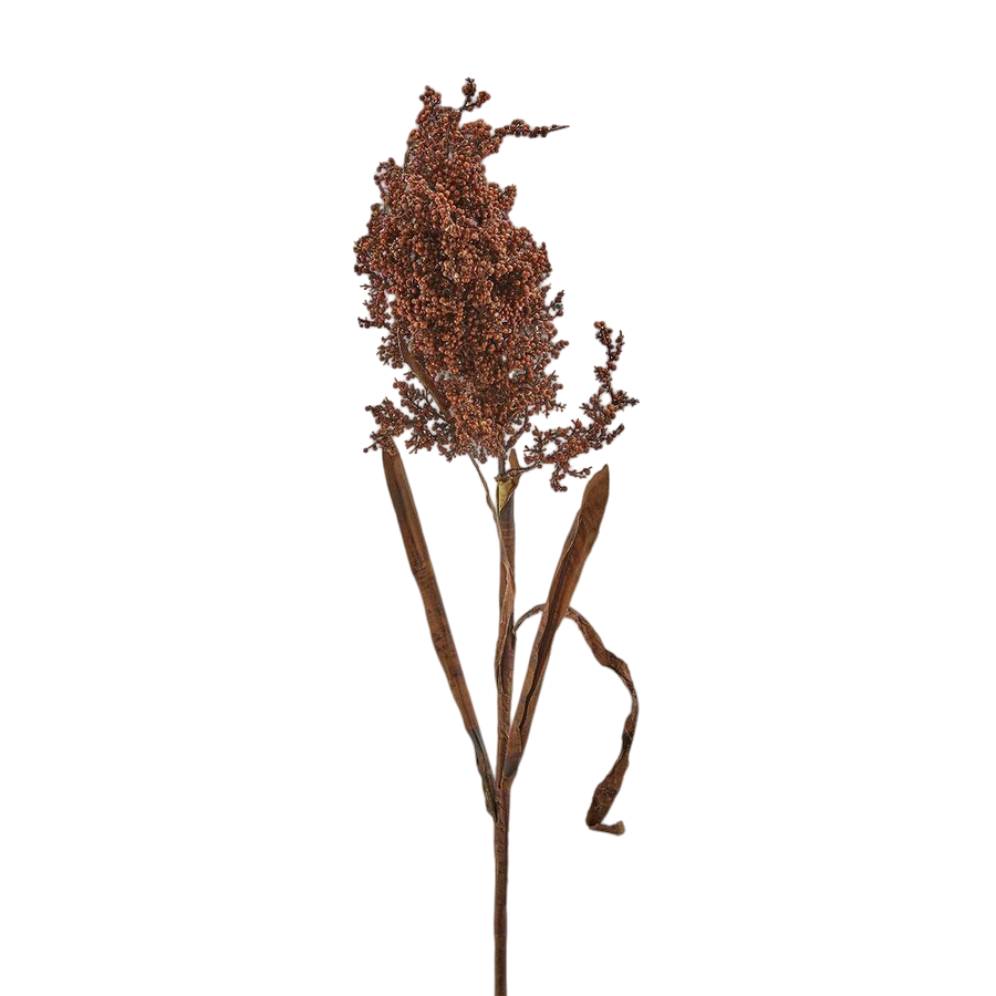 Edg Kunstblume Hirse, Dunkelbraun H: 86 cm  | Schubiger Möbel