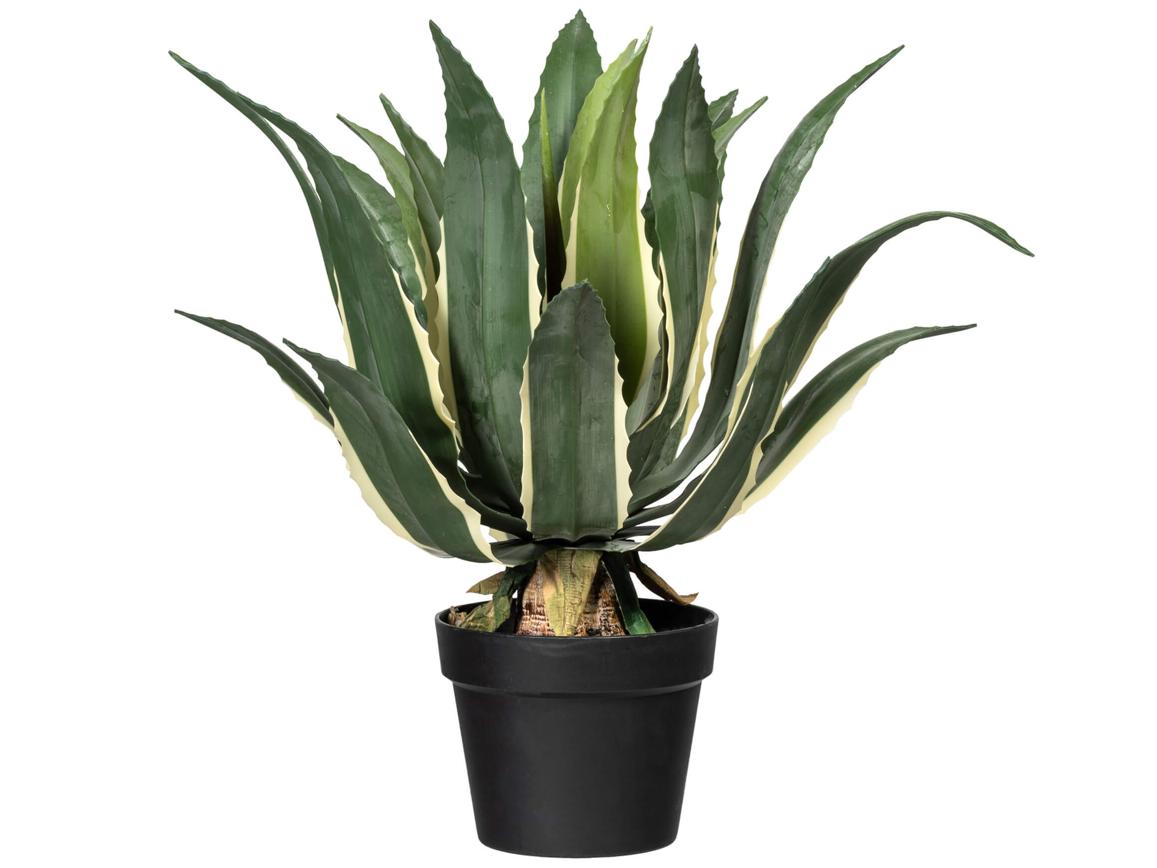 Kunstpflanze Agave Americana Variegata H: 55 cm Gasper