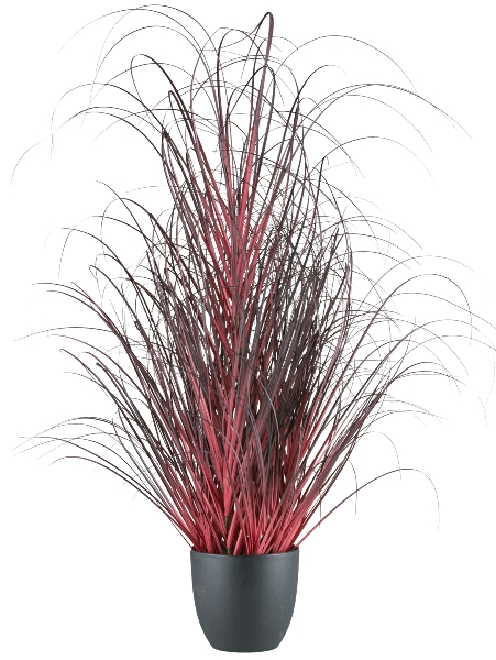Kunstpflanzen Gras im Topf, Dunkelrot Gasper
