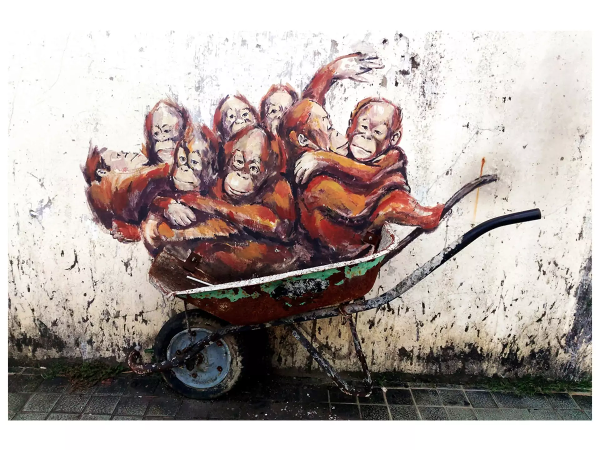 Digitaldruck auf Glas Street Art mit Orang-Utans image LAND