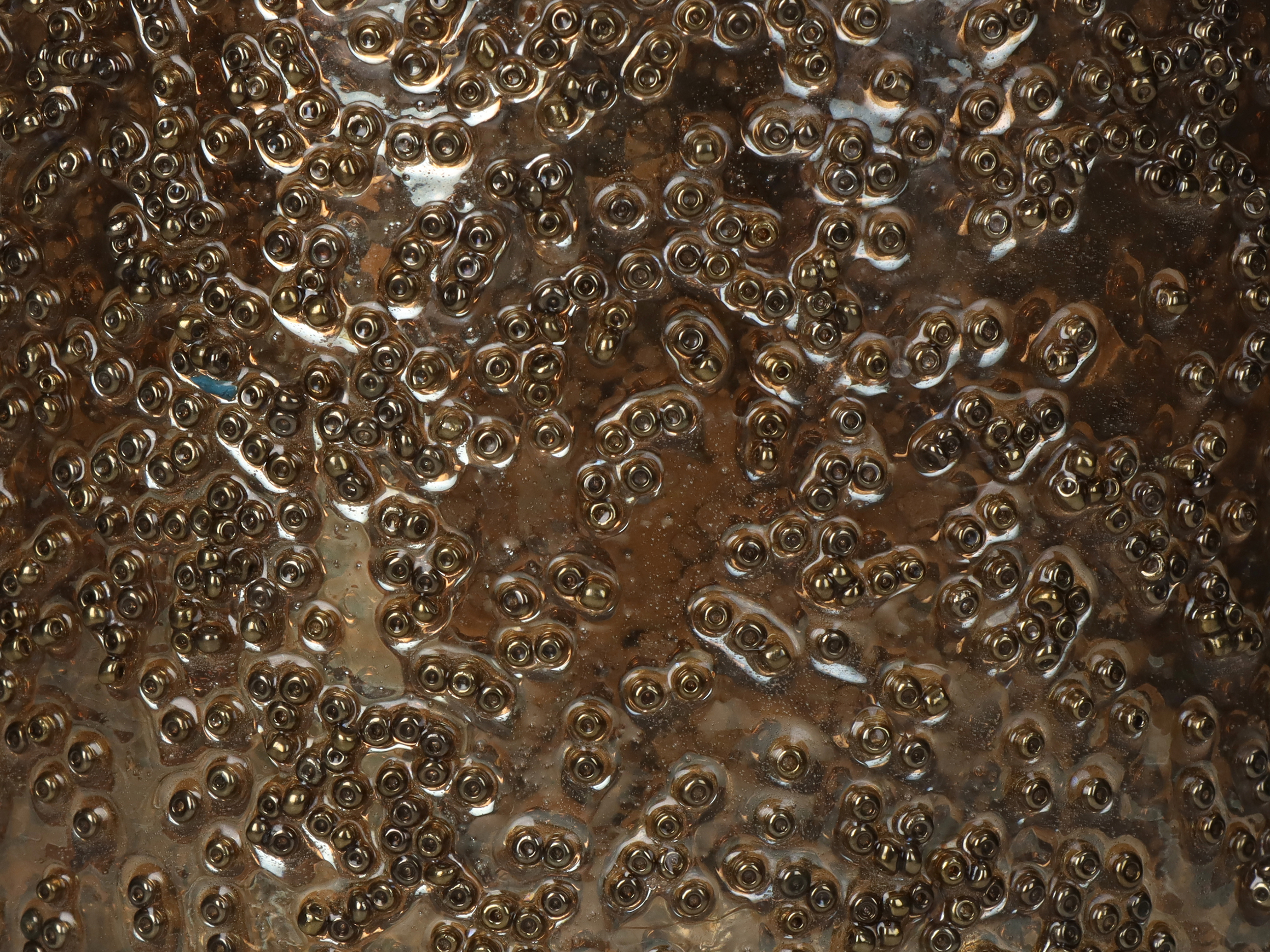 Windlicht Gold H: 21cm Kersten