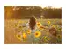 Digitaldruck auf Glas Mädchen im Sonnenblumenfeld image LAND