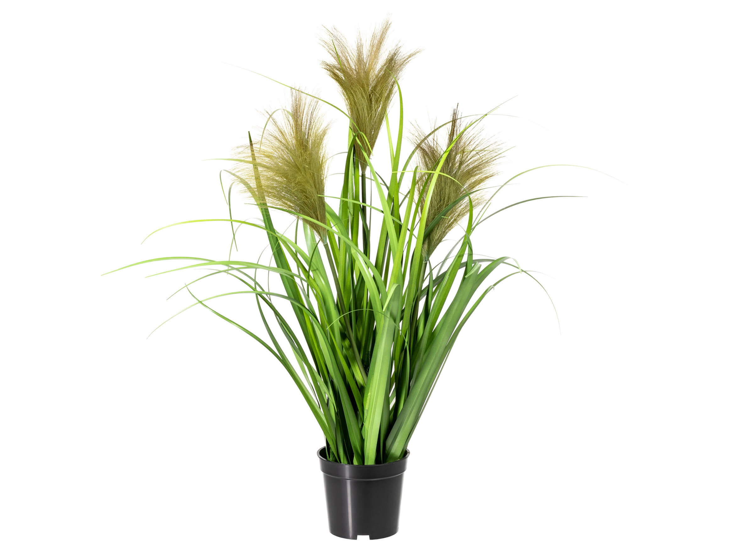 Kunstpflanze Chinaschilf H: 60 cm Gasper