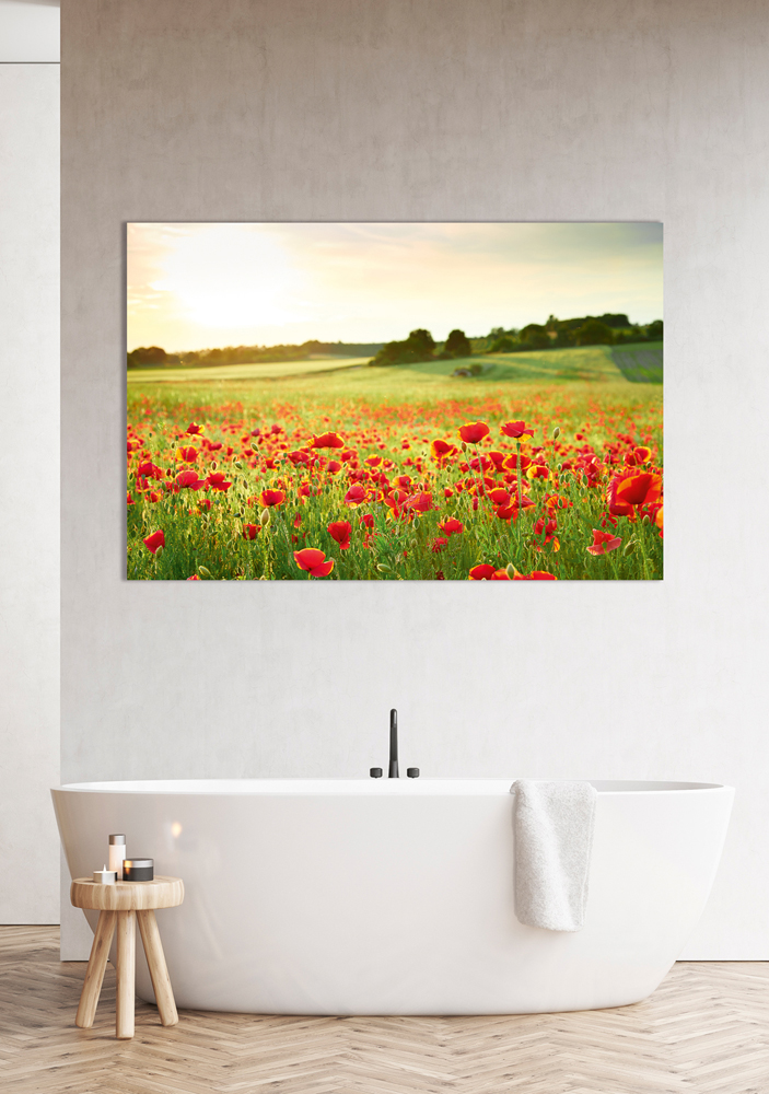 Alubild-Mohnwiese 2-image LAND