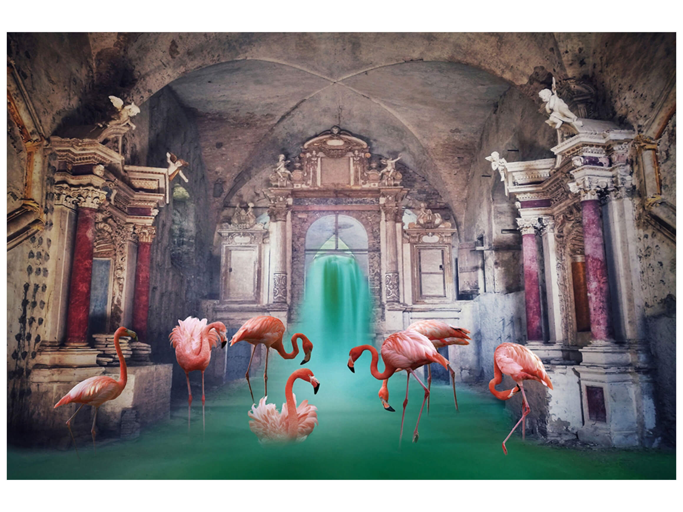 Digitaldruck auf Glas Badende Flamingos image LAND