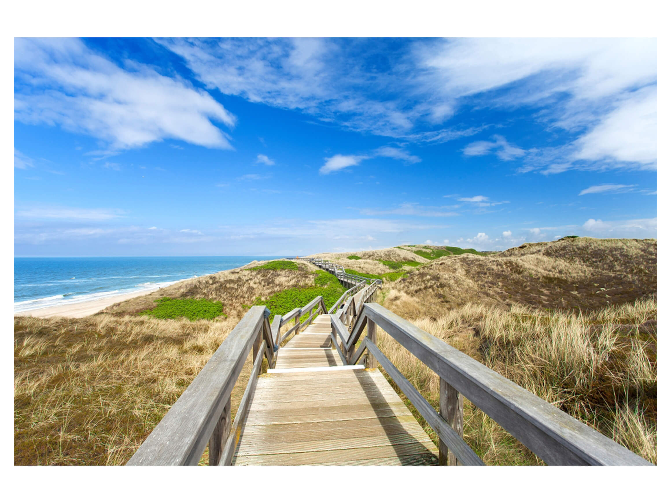 Digitaldruck auf Acrylglas Holzweg Zum Meer 2 image LAND / Grösse: 120 x 80 cm