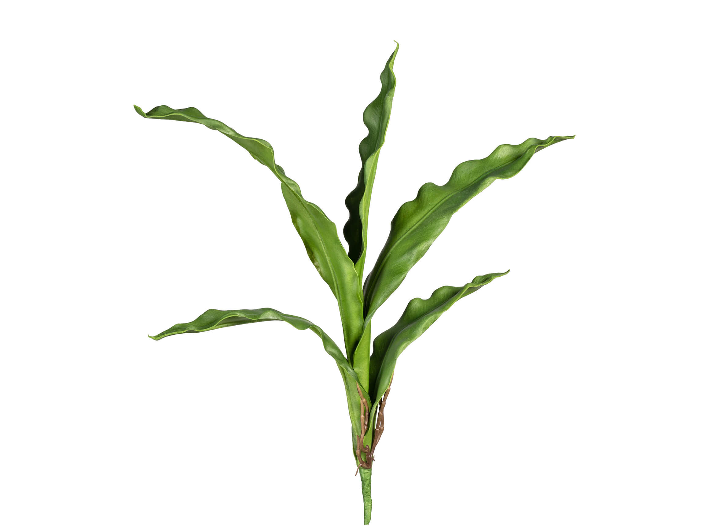 Gasper Kunstblume Cymbidiumblatt H: 55 cm  | Schubiger Möbel