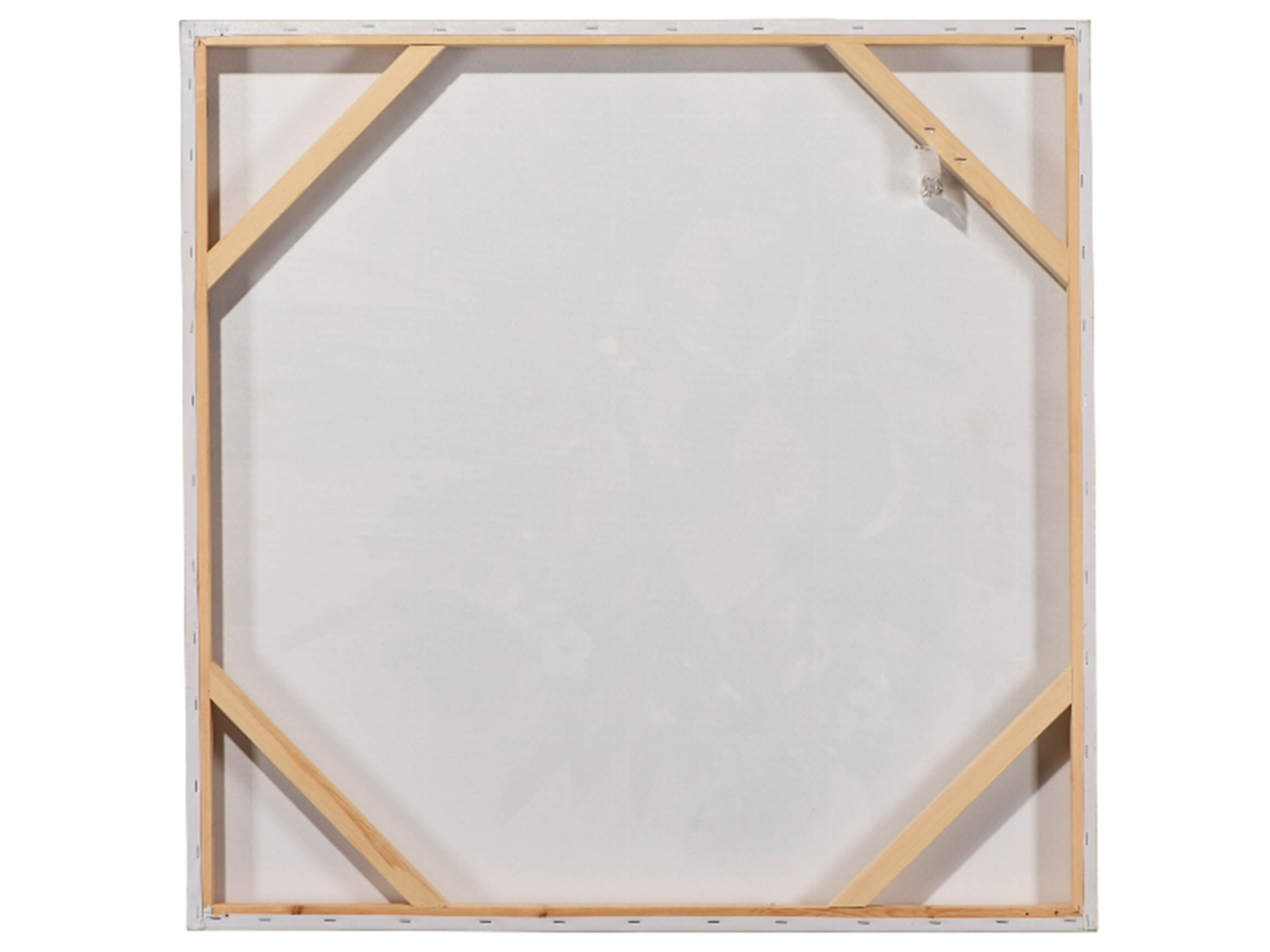 Bild Elefanten Gross und Klein image LAND