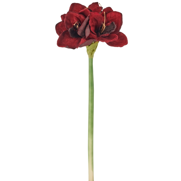 Gasper Kunstblumen Amaryllis, Rot  | Schubiger Möbel