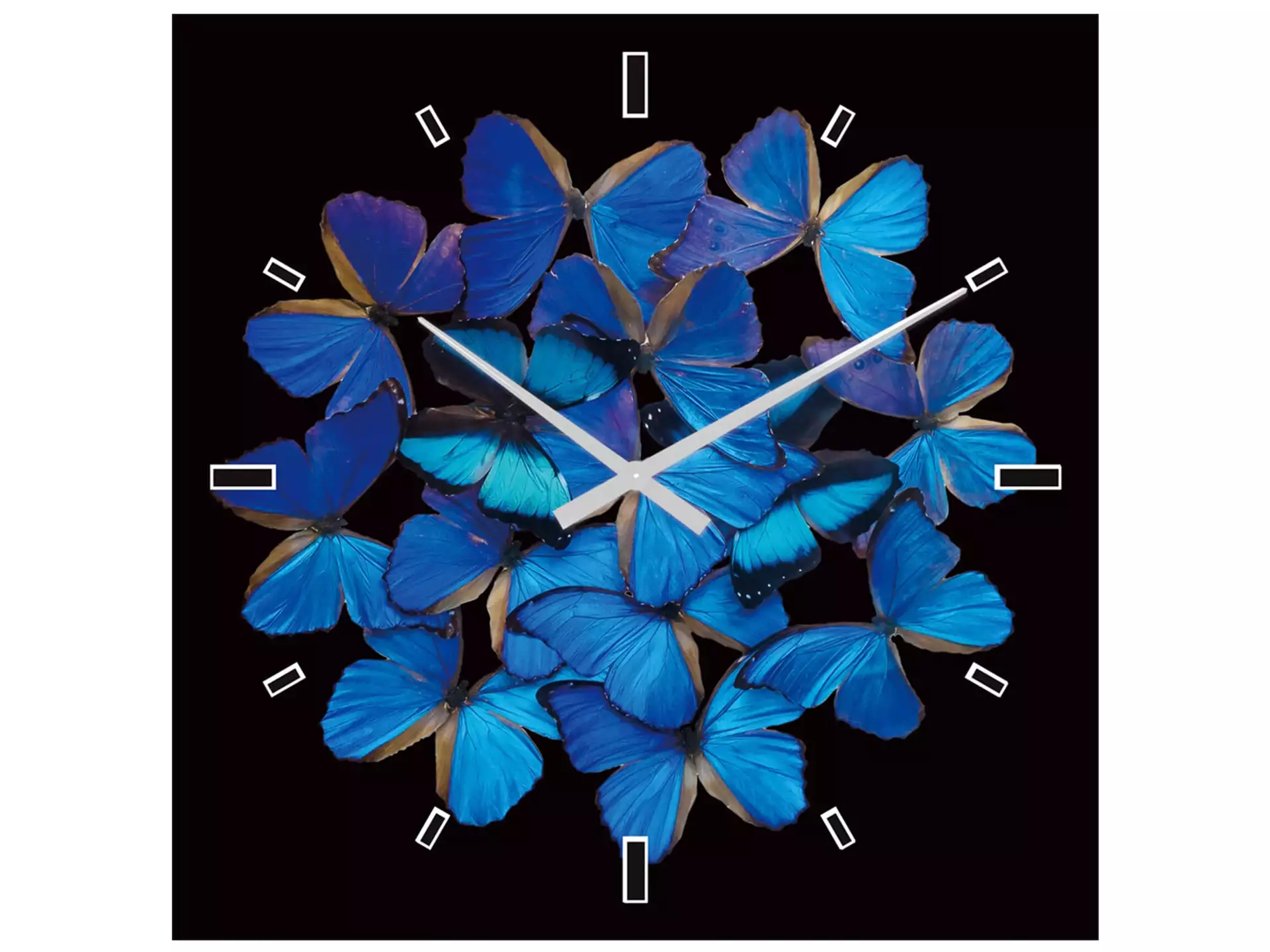 Glas-Wanduhr Blaue Schmetterlinge image LAND