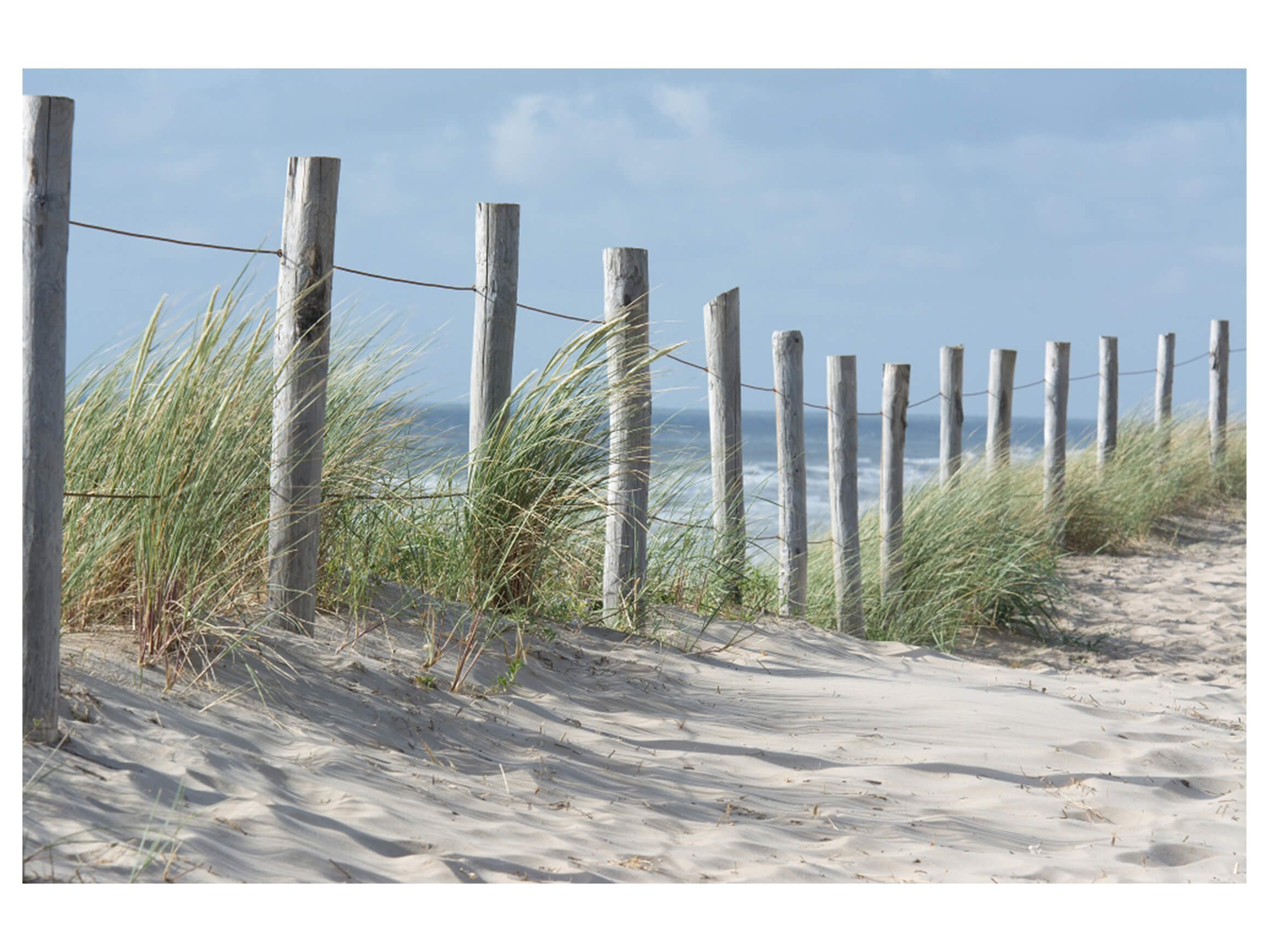 Digitaldruck auf Acrylglas Zaun in Den Dünen image LAND / Grösse: 120 x 80 cm