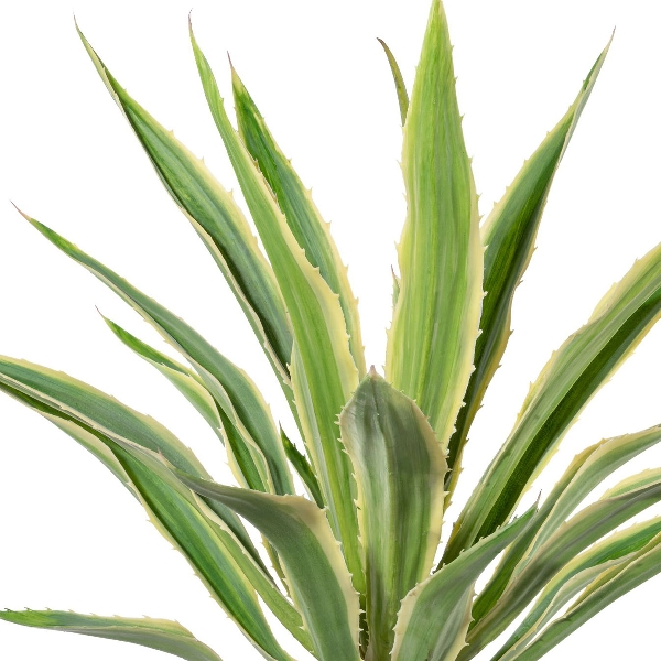 Kunstpflanze Agave im Terracottatopf, Grüncreme H: 85 cm Gasper