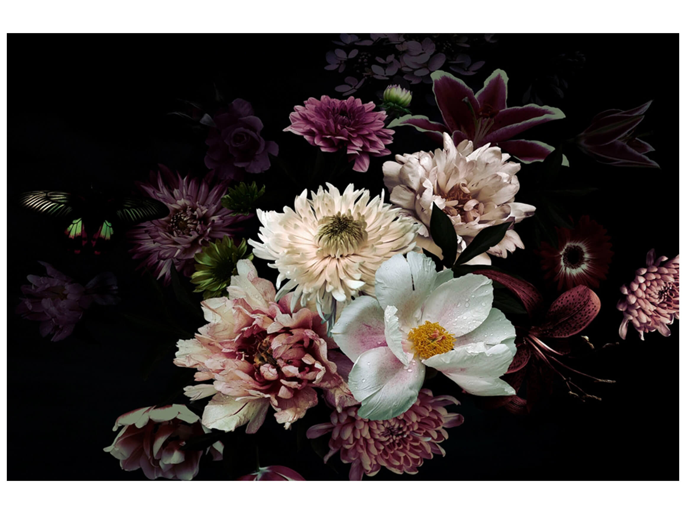 Digitaldruck auf Glas Blüten in Purpurrot image LAND