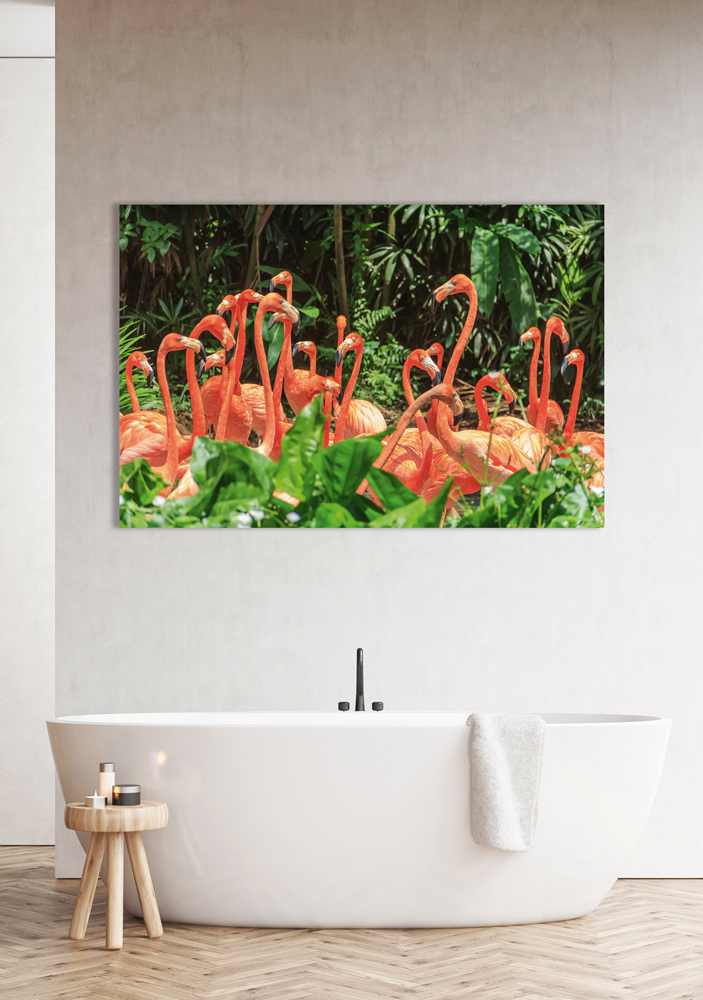 Alubild-Nette Flamingo Familie-image LAND