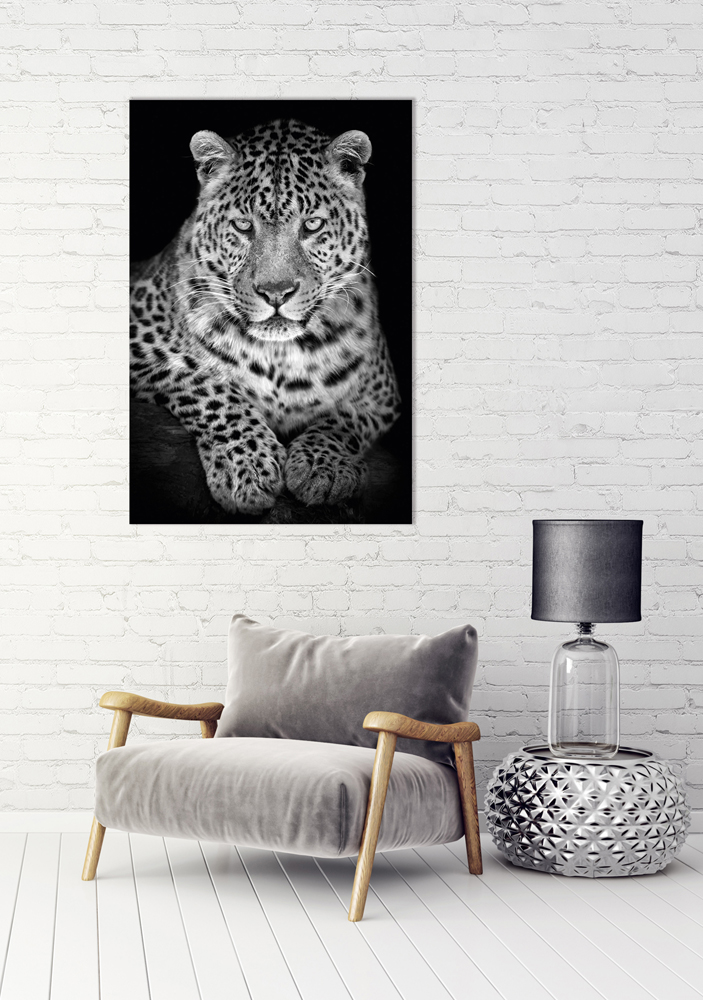 Alubild-Leo-image LAND