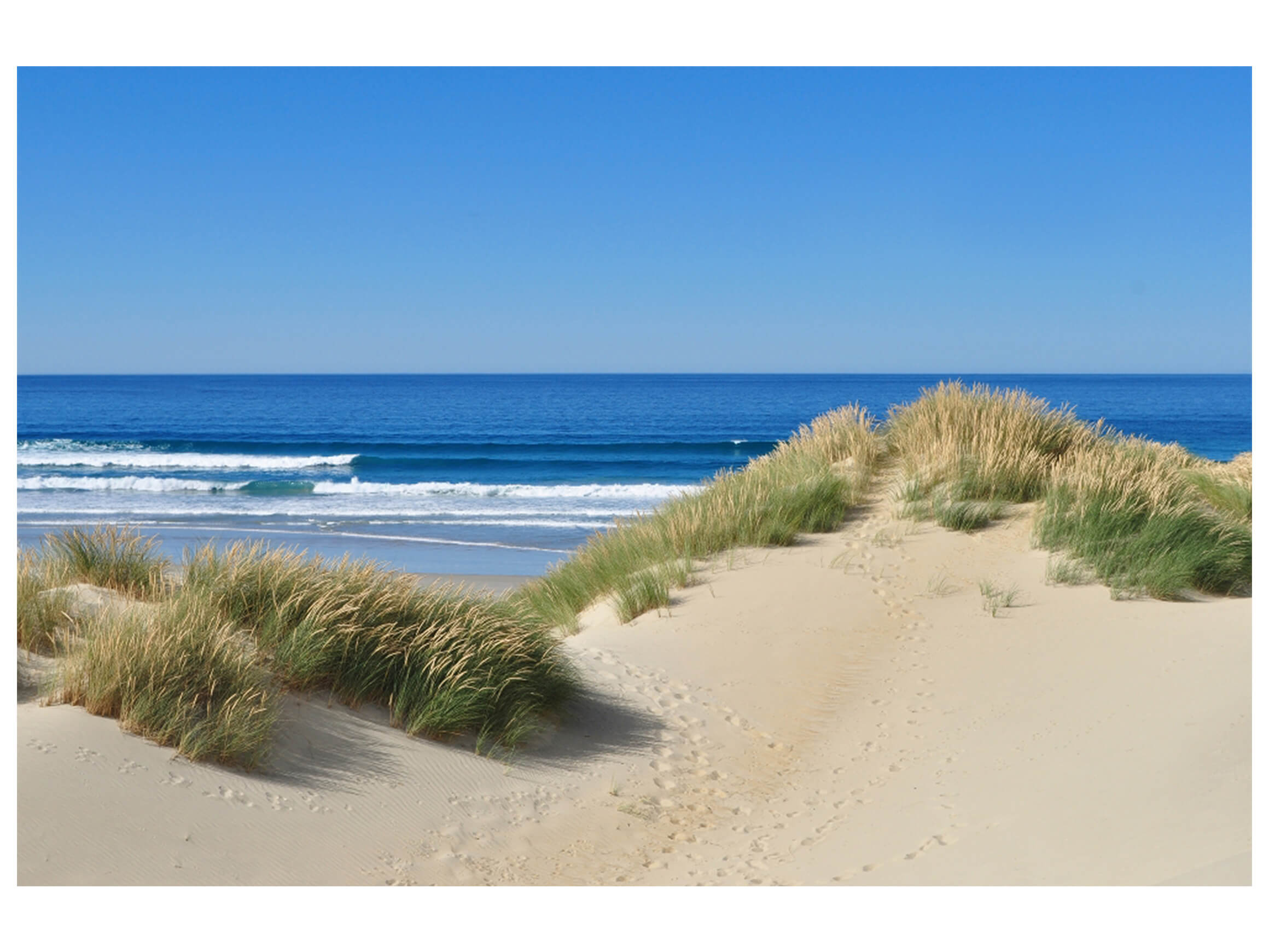 Digitaldruck auf Acrylglas Dünen am Meer 1 image LAND / Grösse: 150 x 100 cm