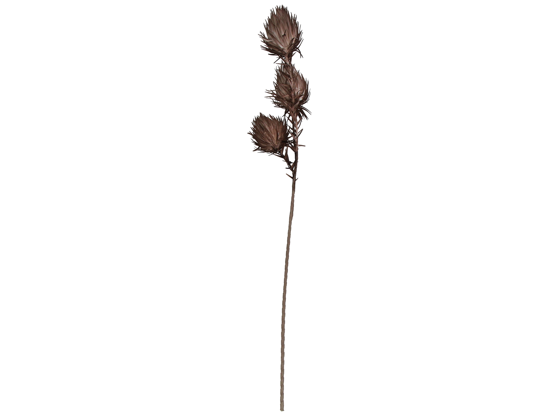 Kunstblumen 3 Knospen Braun H: 100 cm Kersten