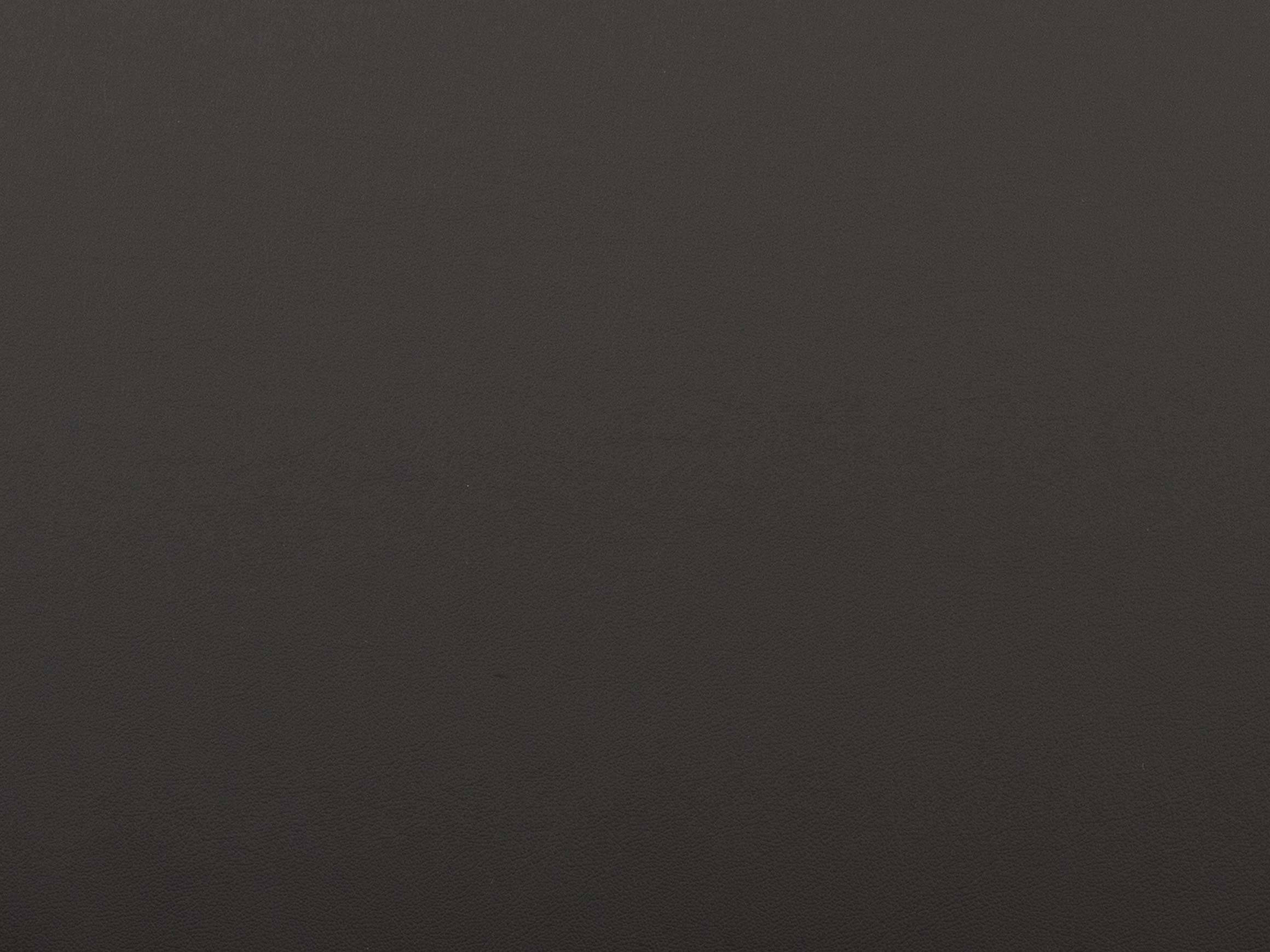 Sofa Shetland B: 188 cm Polipol / Farbe: Anthrazit / Bezugsmaterial: Leder