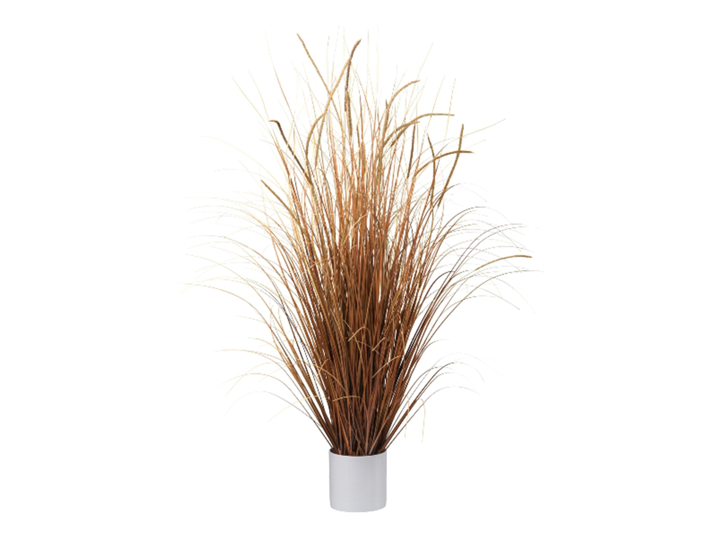 Kunstpflanze Gras Hellbraun H: 125 cm Gasper