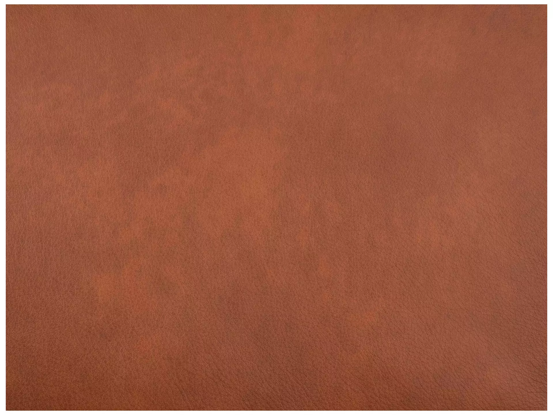 Sofa Foscaari b: 213 cm Schillig Willi / Farbe: Cognac, Material: