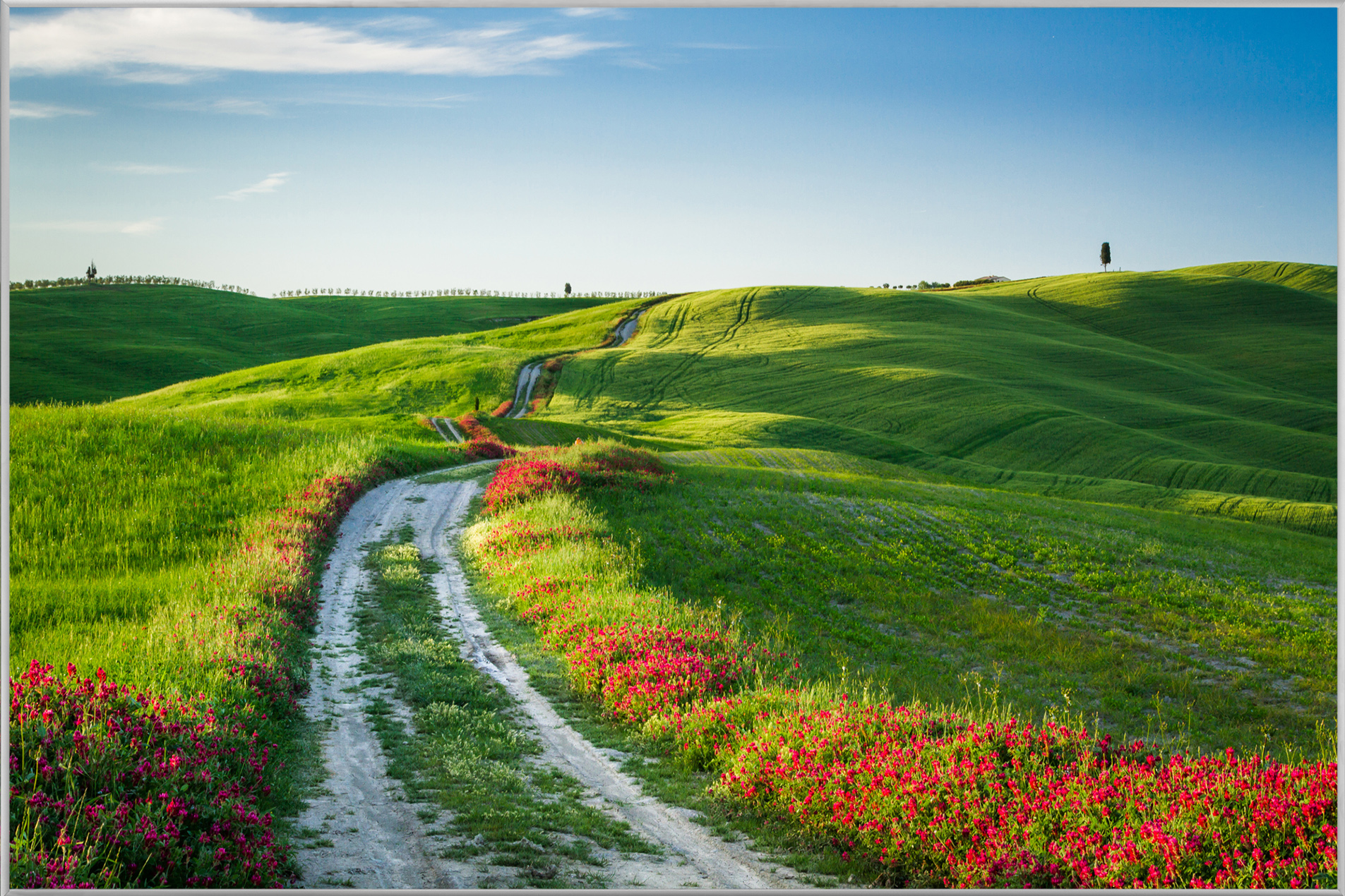 Bild mit Rahmen-Wegesrand mit Mohn-image LAND