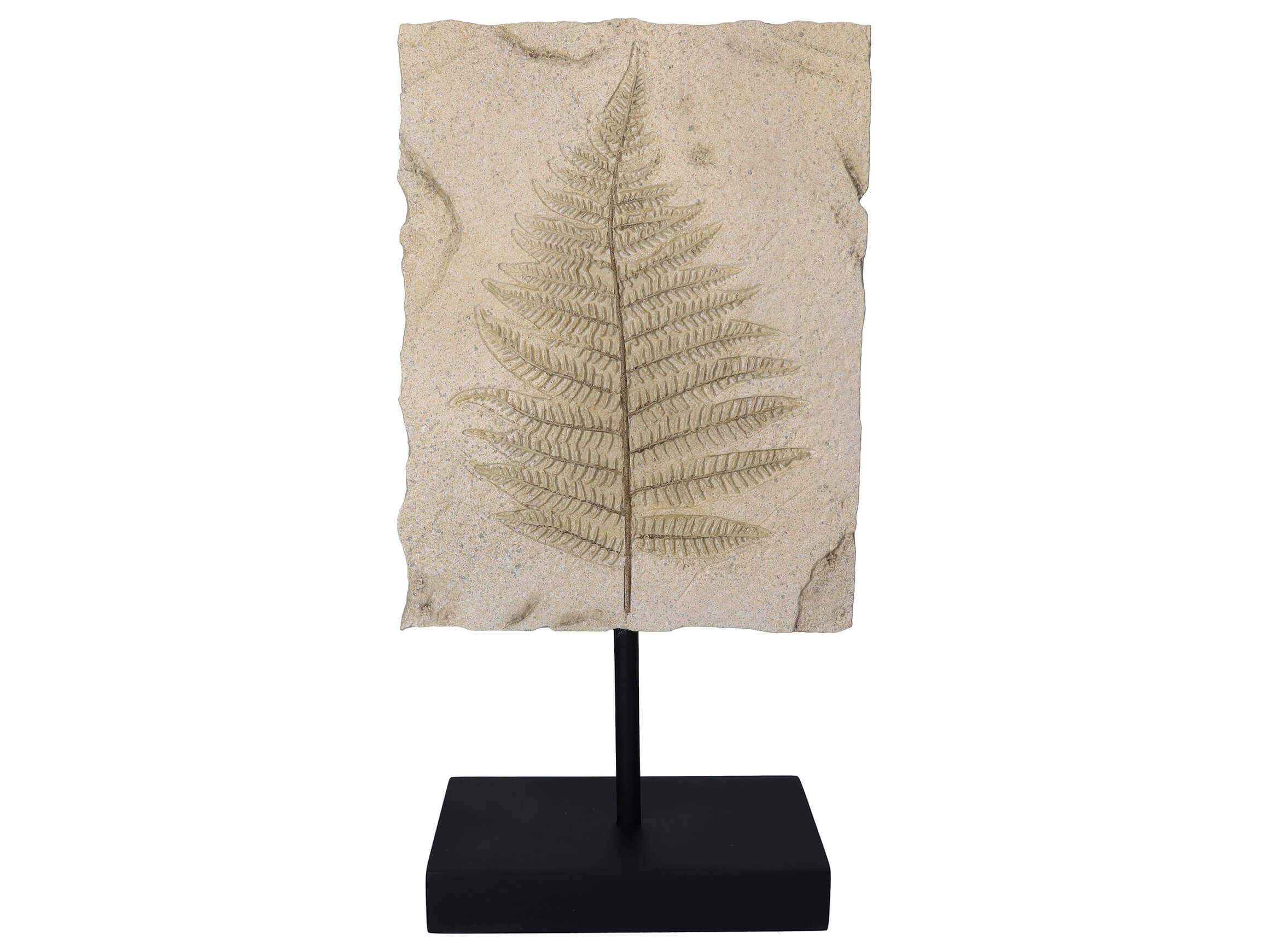 Kersten Skulptur Ornament Blätter H: 40 cm  | Schubiger Möbel