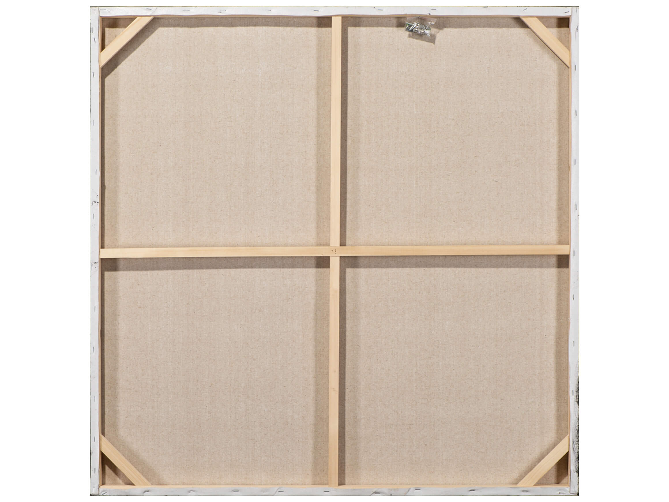 Bild Schlafende Schönheit 3 image LAND