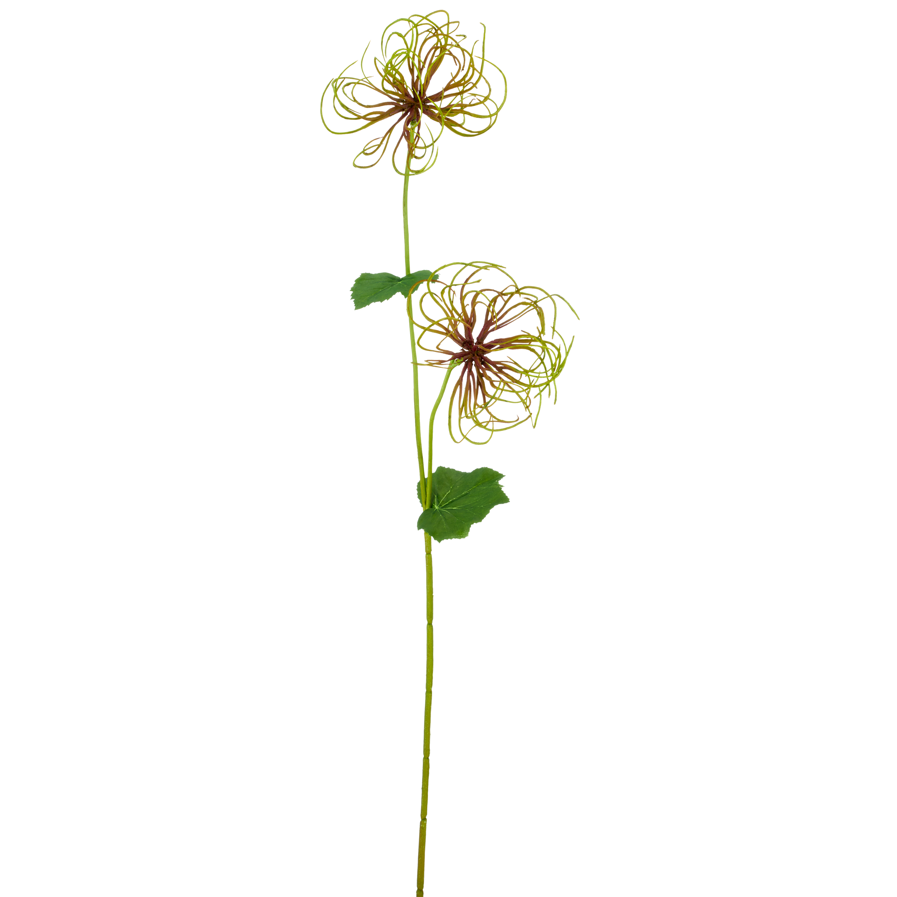 Kunstblume Clematisfruchtzweig Gasper