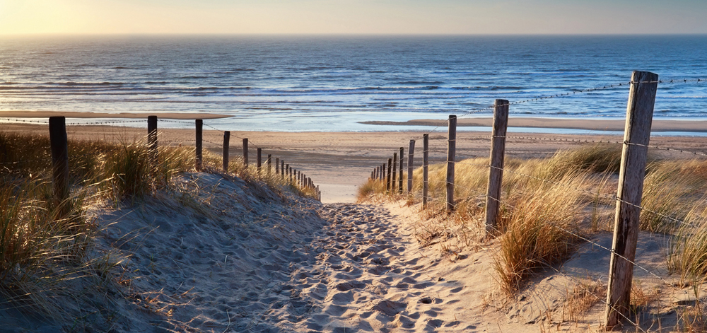 Alubild-Sandweg Zum Meer 2-image LAND