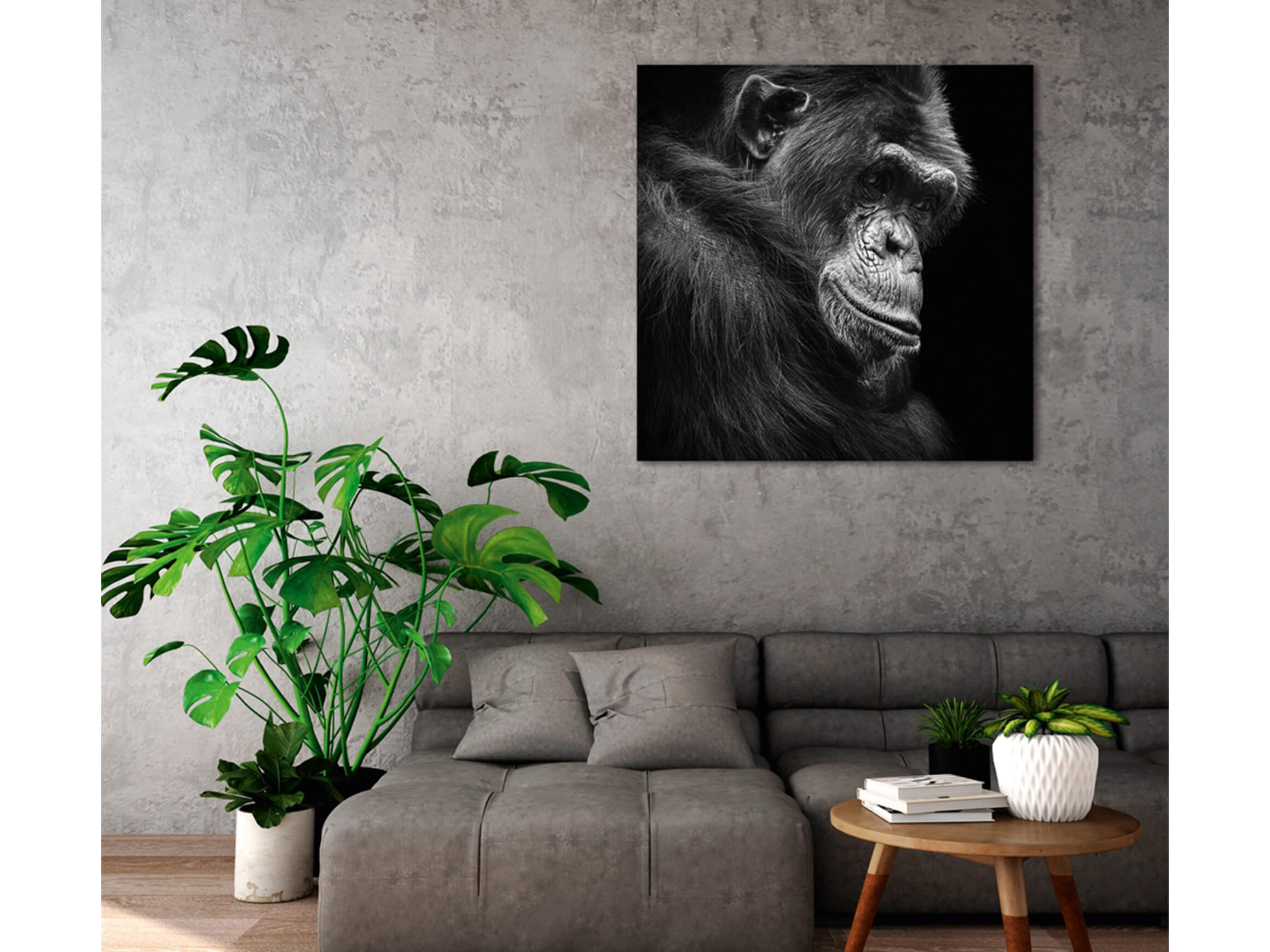 Digitaldruck auf Acrylglas Schimpanse in Gedanken image LAND / Grösse: 95 x 95 cm