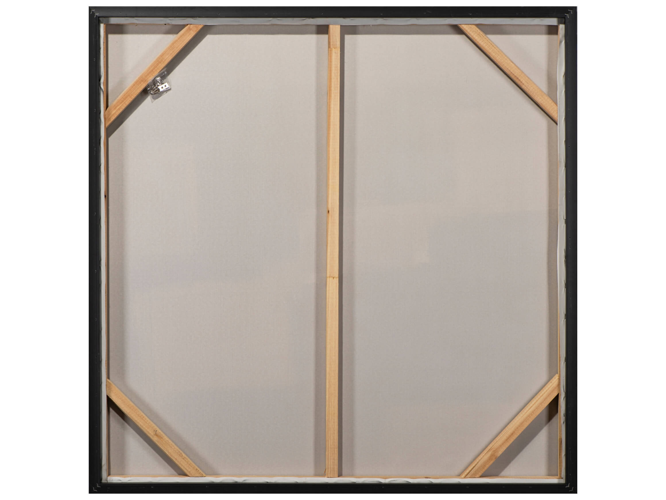 Bild Löwe image LAND / Grösse: 102 x 102 cm