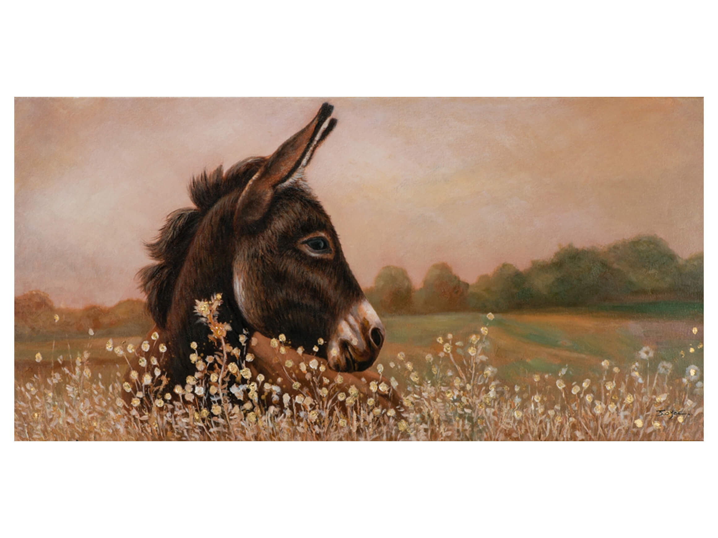 Bild Esel im Kornfeld image LAND