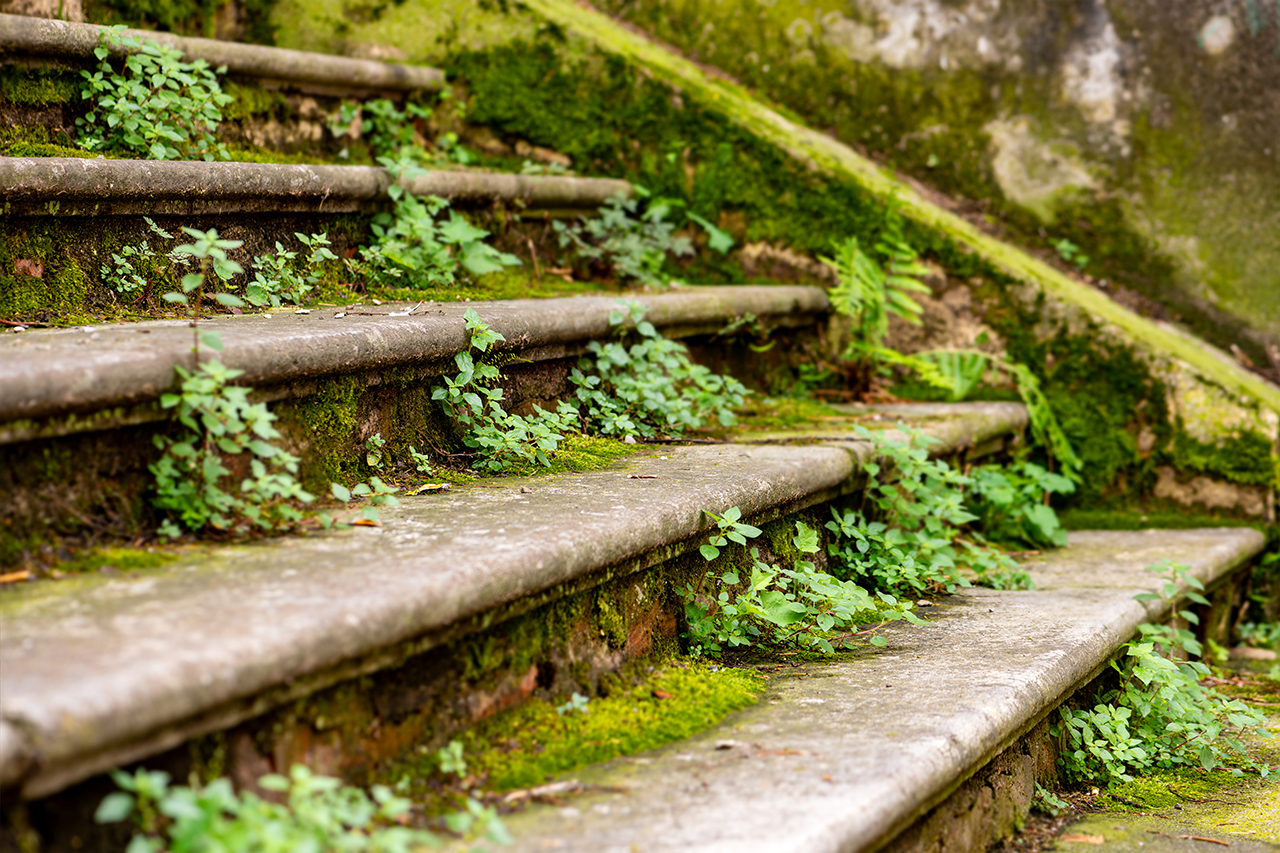 Canvas-Upstairs-image LAND