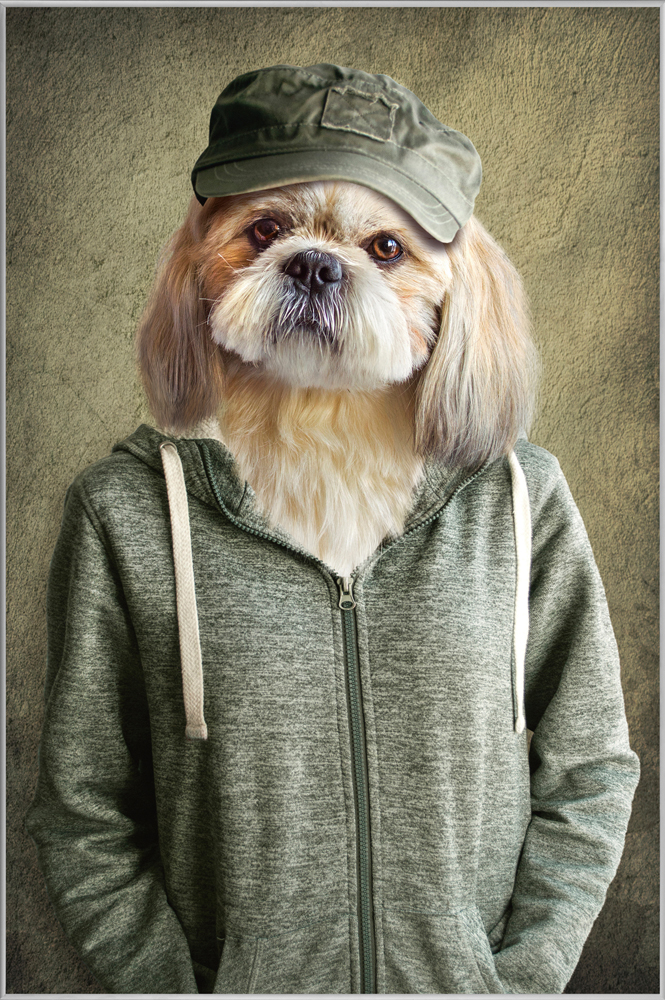 Bild mit Rahmen-Witziger Hund mit Jacke-image LAND