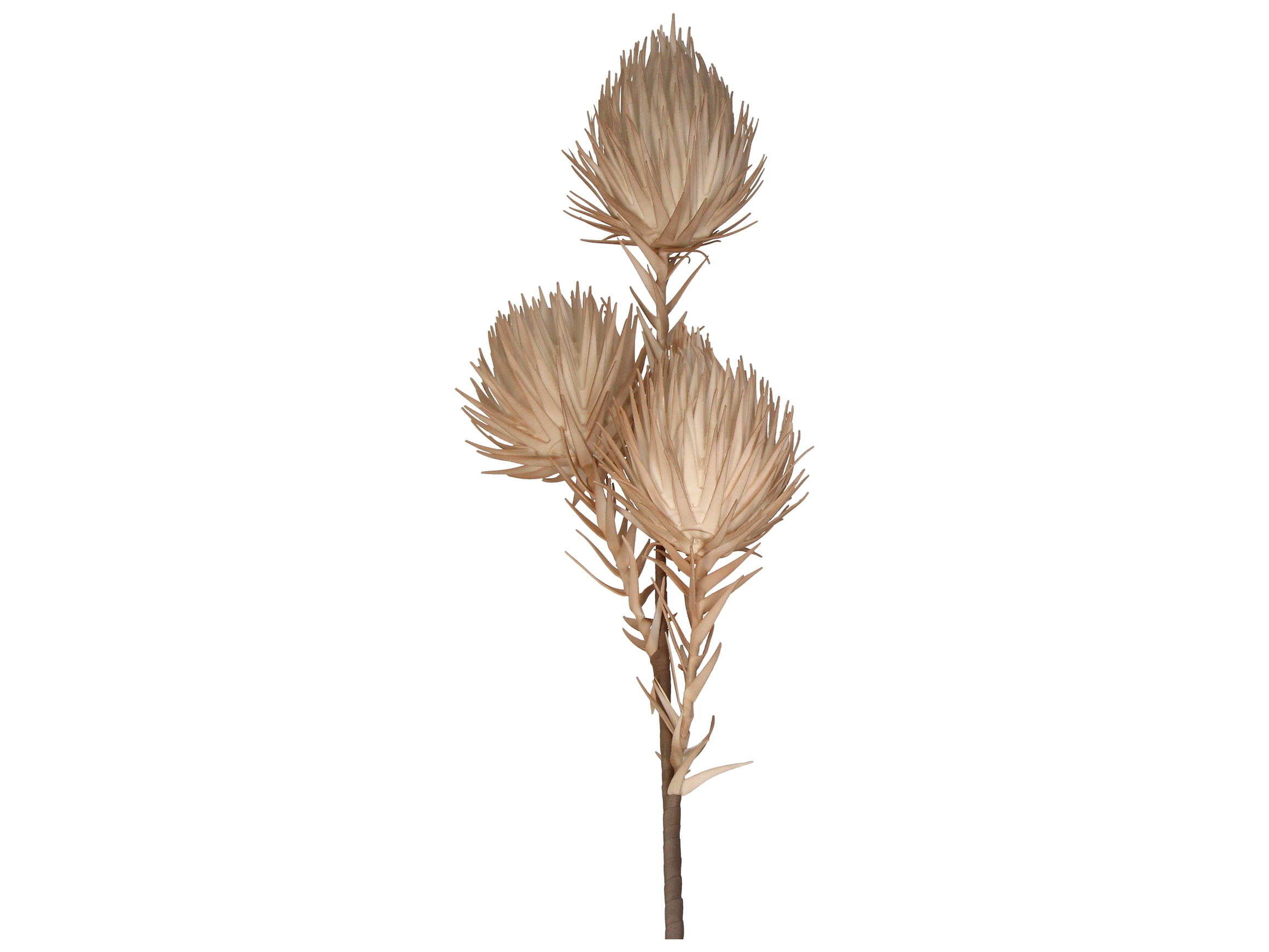 Kunstblumen 3 Knospen Beige H: 100 cm Kersten